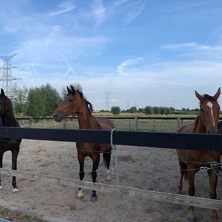B&B A'Laise Zedelgem Exteriér fotografie